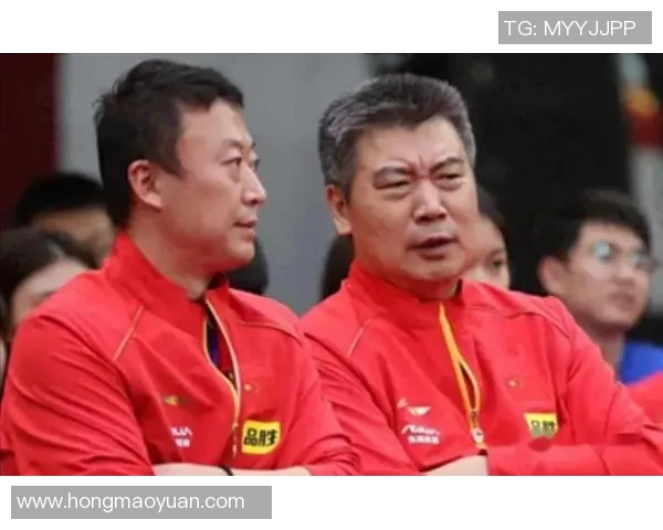 赛后分析:上海乒乓球队与南京乒乓球队的团队协作与战术对比